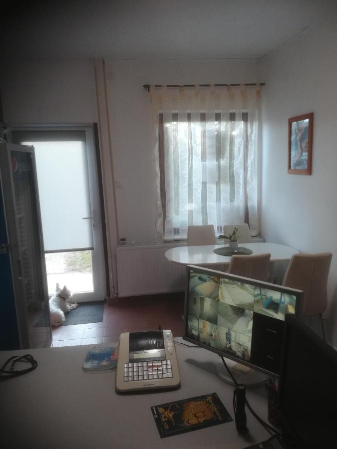 Hotel Fekete Macska Panzió Tata Exterior foto